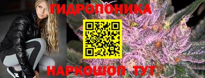 трава Новодвинск