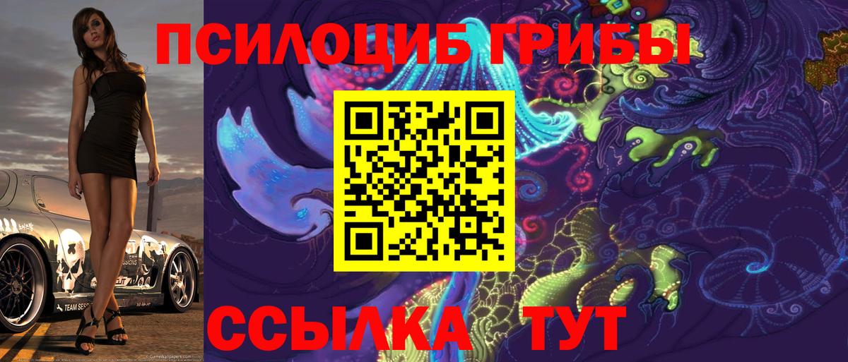 Галлюциногенные грибы мицелий Тосно